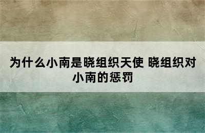 为什么小南是晓组织天使 晓组织对小南的惩罚